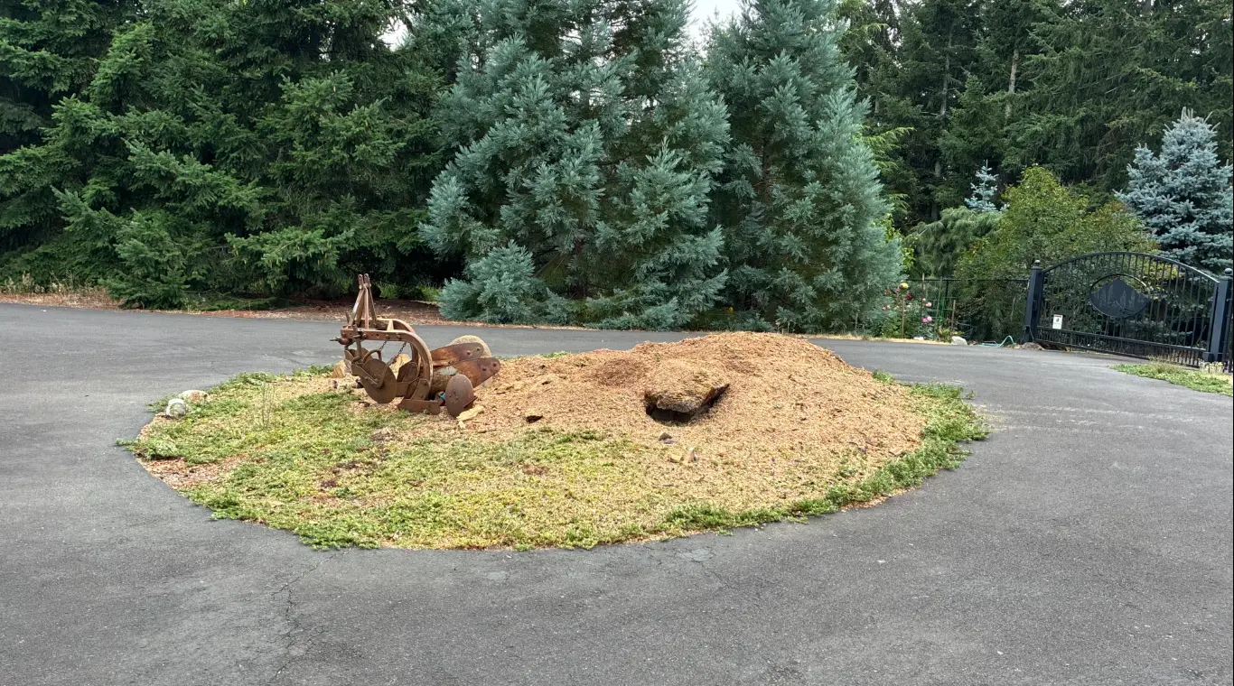 Driveway island after the stump was ground into a pile of mulch
