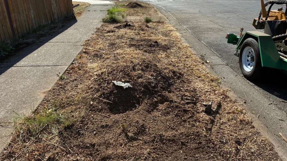 Project 6, after stump removal: Same narrow roadside strip after stump grinding, with disturbed soil and wood chips beside the green trailer