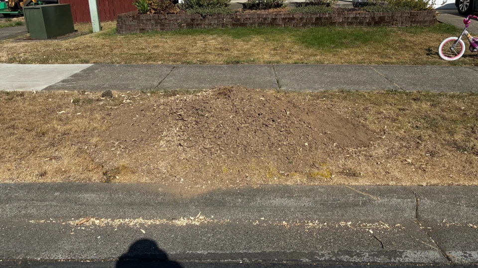 Project 3, after stump removal: Same curbside planting strip with the stump removed and a cleared patch of soil