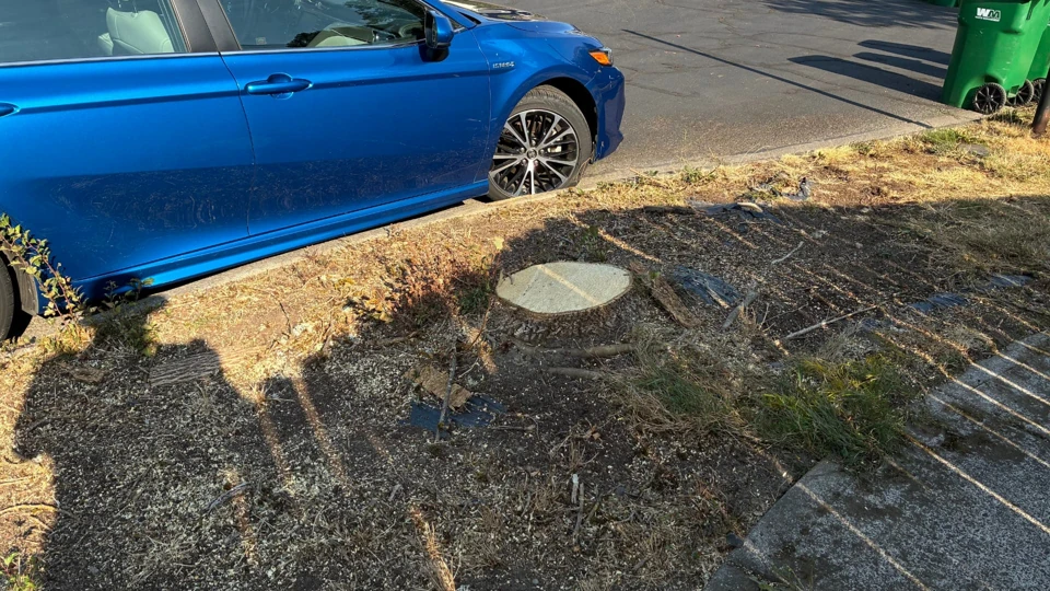 Project 5, before stump removal: Cut stump in a narrow planting strip beside the sidewalk and a parked blue car