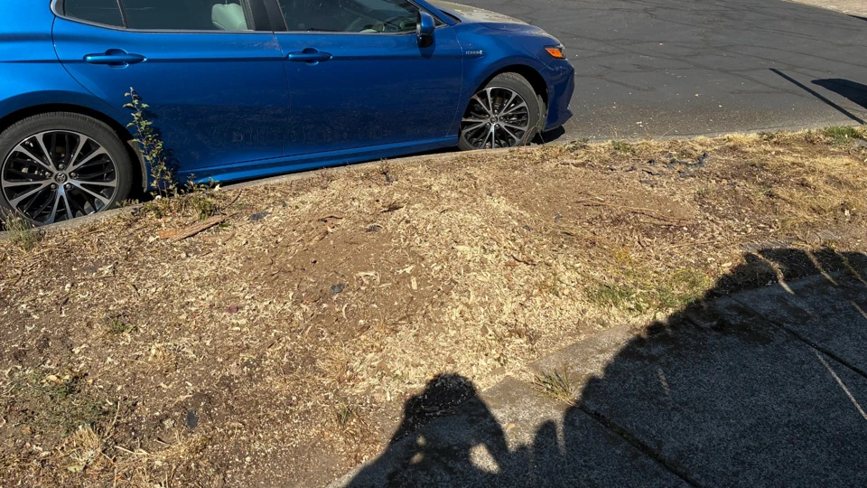 Project 5, after stump removal: Same planting strip beside the parked blue car after stump removal, with cleared soil