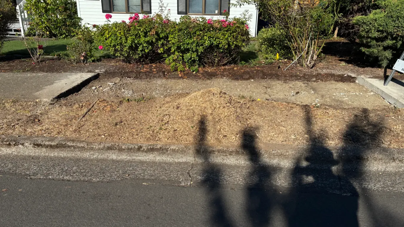Residential curbside strip cleaned up after stump grinding